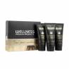 WELLNESS PREMIUM PRODUCTS Wellplex mini zestaw szampon 50ml odżywka 50ml maska 50ml