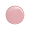Victoria Vynn 05 PURE CREAMY HYBRID  Powdery Rose