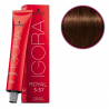 Schwarzkopf Igora Royal profesjonalna farba do włosów 5-57 60ml