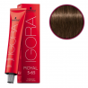 Schwarzkopf Igora Royal profesjonalna farba do włosów 5-65 60ml