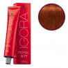 Schwarzkopf Igora Royal profesjonalna farba do włosów 6-77 60ml