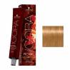 Schwarzkopf Igora Royal profesjonalna farba do włosów 8-19 60 ml