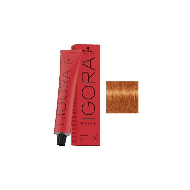 Schwarzkopf Igora Royal profesjonalna farba do włosów 8-77 60ml