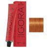 Schwarzkopf Igora Royal profesjonalna farba do włosów 8-77 60ml
