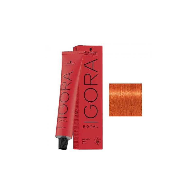 Schwarzkopf Igora Royal profesjonalna farba do włosów 0-77 60ml
