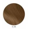 Revlon Colorsmetique farba 5.34 jasny złoty miedziany brąz 60 ml