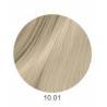 Revlon Colorsmetique farba 10.01 najjaśniejszy naturalny popielaty blond 60 ml